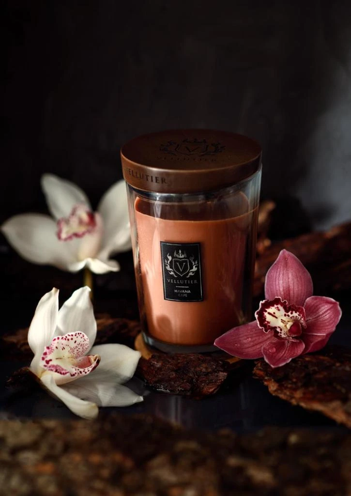 VELLUTIER candle in glass with a wooden lid, photographed among flowers